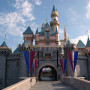 Geniş Disneyland Turu